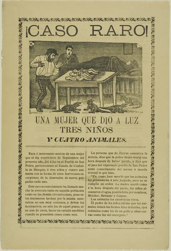 A Woman Who Gave Birth to Three Children and Four Animals Wall Art by José Guadalupe Posada - High-Resolution Digital Print