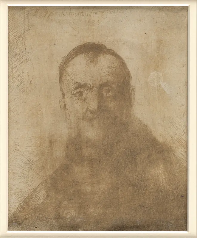 A Young Man Wall Art by School of Rembrandt van Rijn - High-Resolution Digital Print