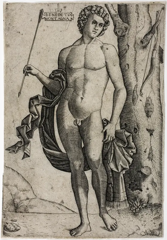 A Young Man with an Arrow Wall Art by Benedetto Montagna - High-Resolution Digital Print