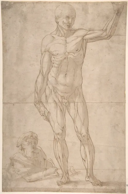 A youth lower left drawing an ecorché of a standing man Wall Art by Anonymous, Italian - High-Resolution Digital Print