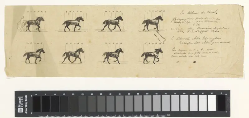 Abe Edgington (naar een foto van Eadweard Muybridge) Wall Art by Willem Constantijn Staring - High-Resolution Digital Print