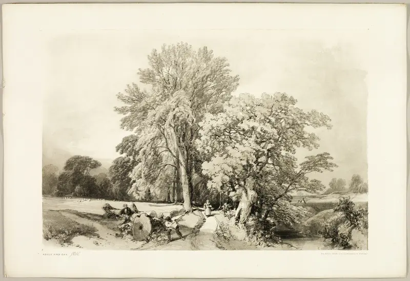 Abele and Oak, from The Park and the Forest Wall Art by James Duffield Harding - High-Resolution Digital Print