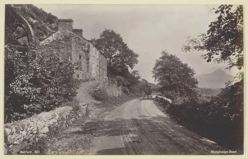 Aberglaslyn Road Wall Art by Francis Bedford - High-Resolution Digital Print