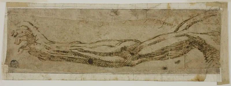 Academic Arm, Extended Wall Art by Circle of Michelangelo Buonarroti - High-Resolution Digital Print