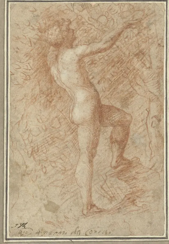 Adam plukt de appel van de boom Wall Art by Correggio - High-Resolution Digital Print