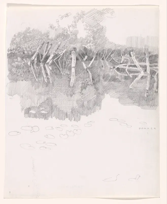 Afgezaagde stammen die weerspiegelen in het water Wall Art by Charles Donker - High-Resolution Digital Print