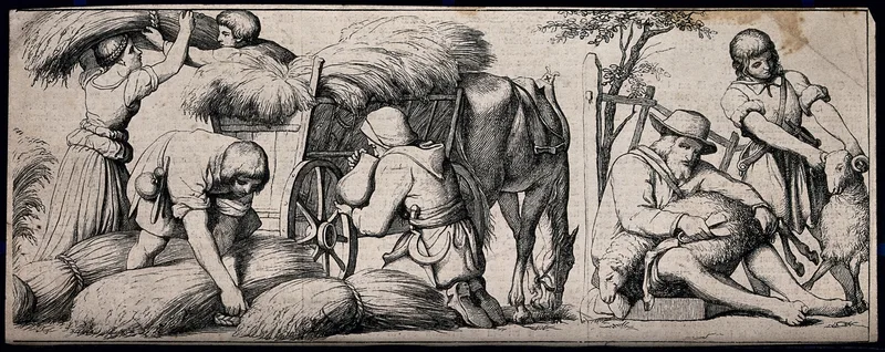 Agricultural labours: harvesters loading sheaves of corn on to a wagon, and a man and boy shearing sheep Wall Art by Eduard Julius Friedrich Bendemann - High-Resolution Digital Print