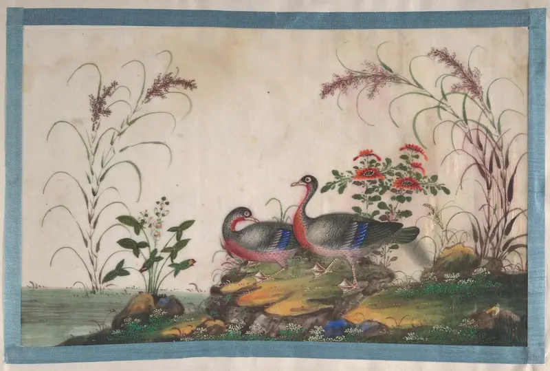 Album Containing Twelve Paintings of Birds