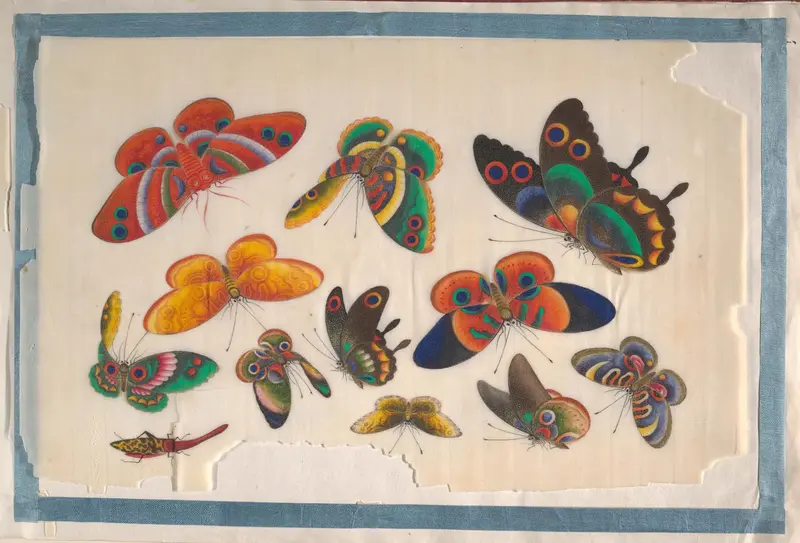 Album Containing Twelve Paintings of Insects