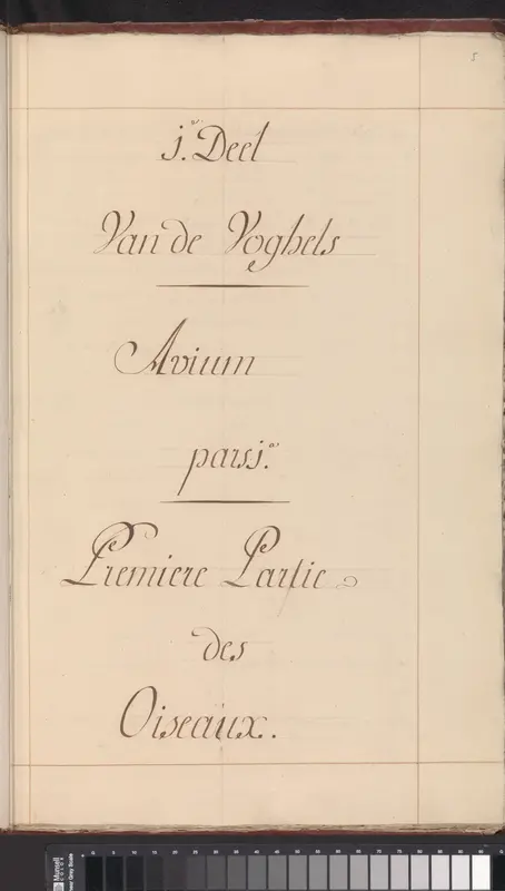 Album met vogels Wall Art by Anselmus Boëtius de Boodt - High-Resolution Digital Print