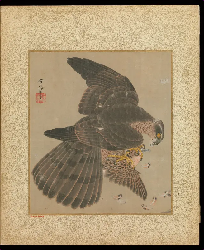 Album of Hawks and Calligraphy Wall Art by Kano Tsunenobu - High-Resolution Digital Print