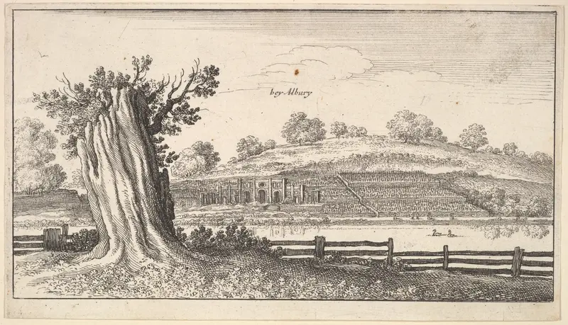 Albury with tree-stump in foreground