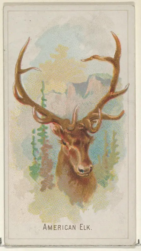 American Elk, from the Wild Animals of the World series (N25) for Allen & Ginter Cigarettes Wall Art by Allen & Ginter - High-Resolution Digital Print