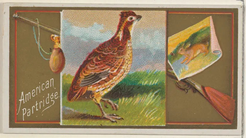 American Partridge, from the Game Birds series (N13) for Allen & Ginter Cigarettes Brands Wall Art by Allen & Ginter - High-Resolution Digital Print