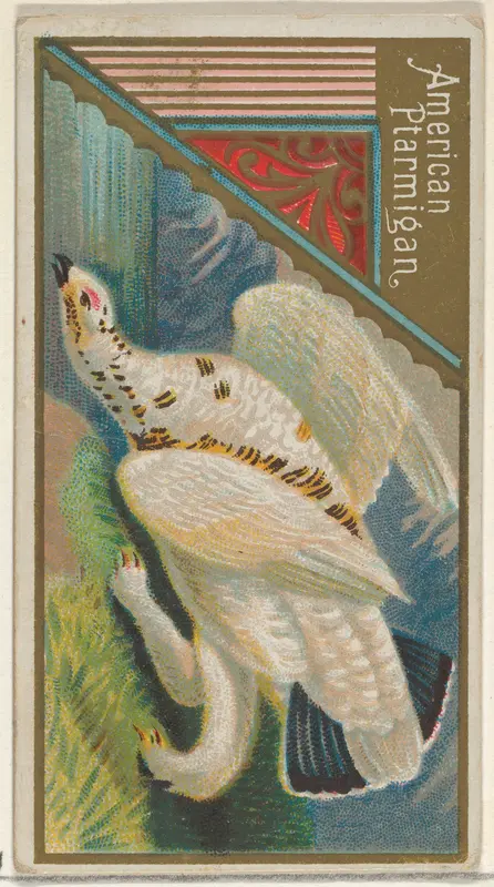 American Ptarmigan, from the Game Birds series (N13) for Allen & Ginter Cigarettes Brands Wall Art by Allen & Ginter - High-Resolution Digital Print