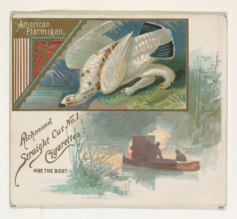 American Ptarmigan, from the Game Birds series (N40) for Allen & Ginter Cigarettes Wall Art by Allen & Ginter - High-Resolution Digital Print
