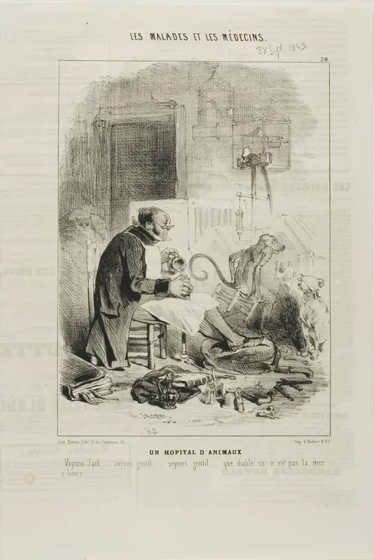 An Animal Hospital (plate 20)