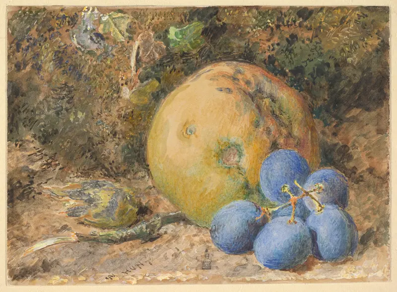 An apple, grapes and a hazelnut on a mossy bank Wall Art by William Henry Hunt - High-Resolution Digital Print