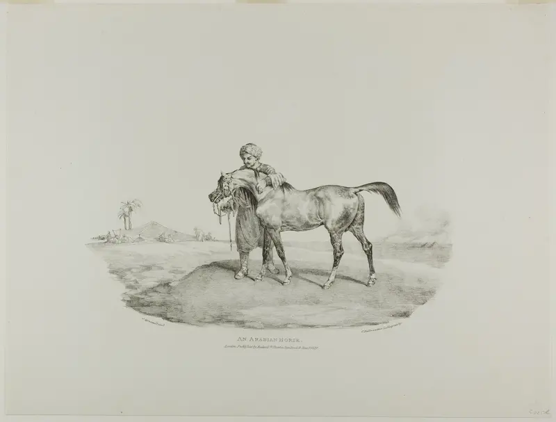 An Arabian Horse, plate 8 from Various Subjects Drawn from Life and on Stone (The English Suite)