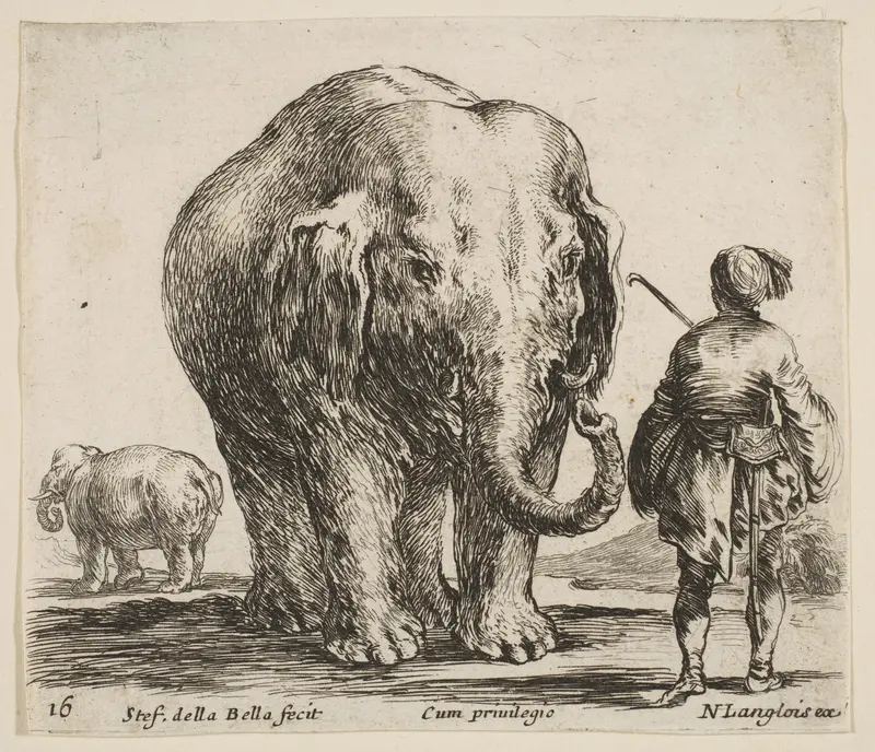 An elephant in center, his mahout standing to the right wearing an Oriental costume, another elephant to left in background, plate 16 from "Diversi capricci" Wall Art by Stefano della Bella - High-Resolution Digital Print