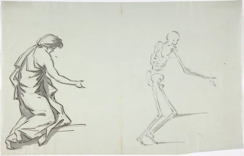 Anatomical drawing Wall Art by Anonymous, French, 18th century - High-Resolution Digital Print