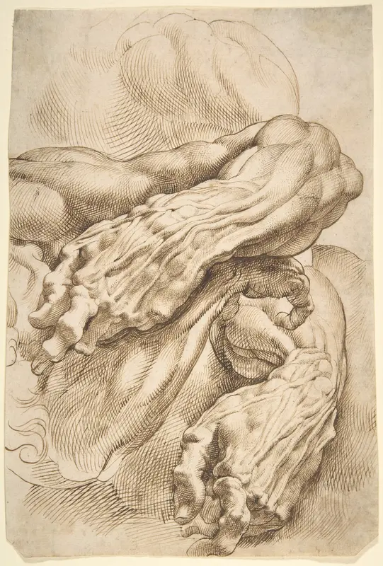 Anatomical Studies: a left forearm in two positions and a right forearm Wall Art by Peter Paul Rubens - High-Resolution Digital Print