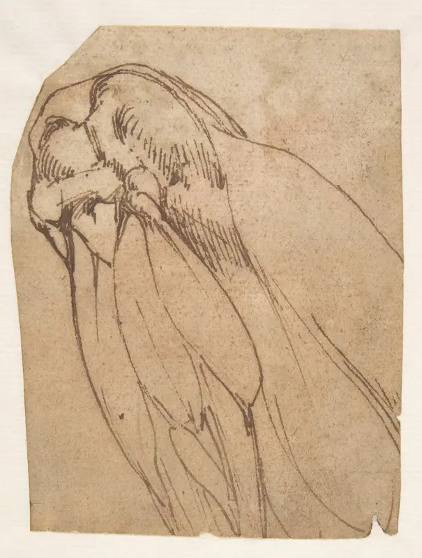 Anatomical Study of a Knee Wall Art by Michelangelo Buonarroti - High-Resolution Digital Print