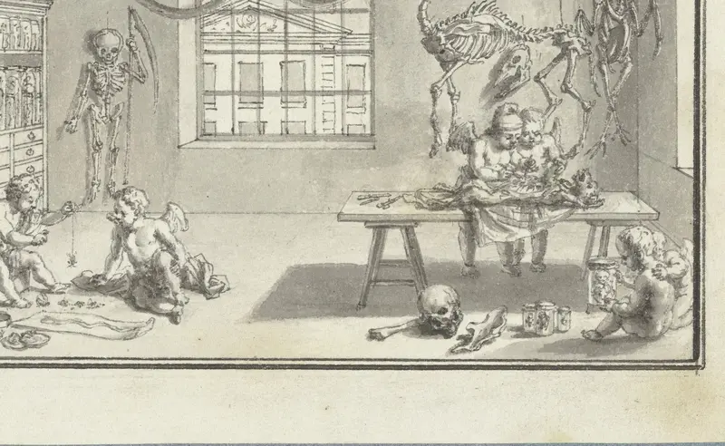 Anatomie en Natuurgeschiedenis Wall Art by Bernard Picart - High-Resolution Digital Print