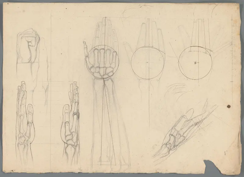 Anatomische studie van de botten in een hand Wall Art by Unknown - High-Resolution Digital Print