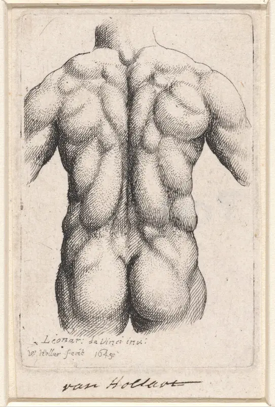 Anatomische studie van de torso van een man, op de rug gezien Wall Art by Unknown - High-Resolution Digital Print