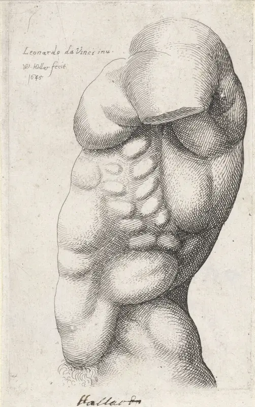 Anatomische studie van de torso van een man, van opzij gezien Wall Art by Unknown - High-Resolution Digital Print