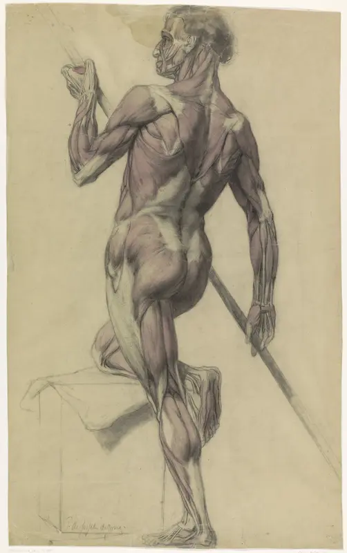 Anatomische studie van een mannelijk lichaam Wall Art by Pieter de Josselin de Jong - High-Resolution Digital Print