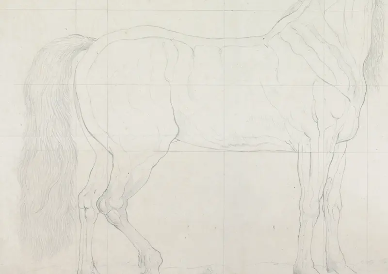 Anatomische studie van een paard, in profiel naar rechts Wall Art by Unknown - High-Resolution Digital Print