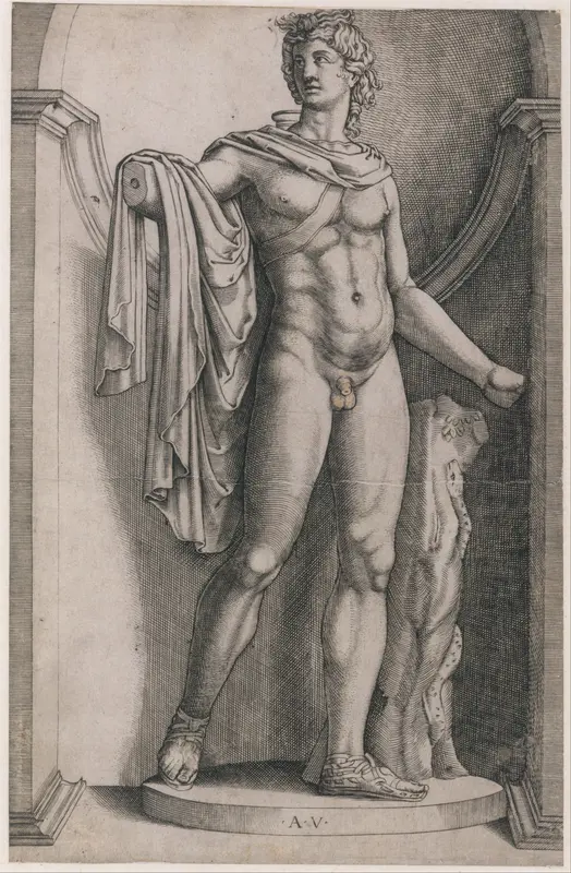 Apollo Belvedere, from "Speculum Romanae Magnificentiae"