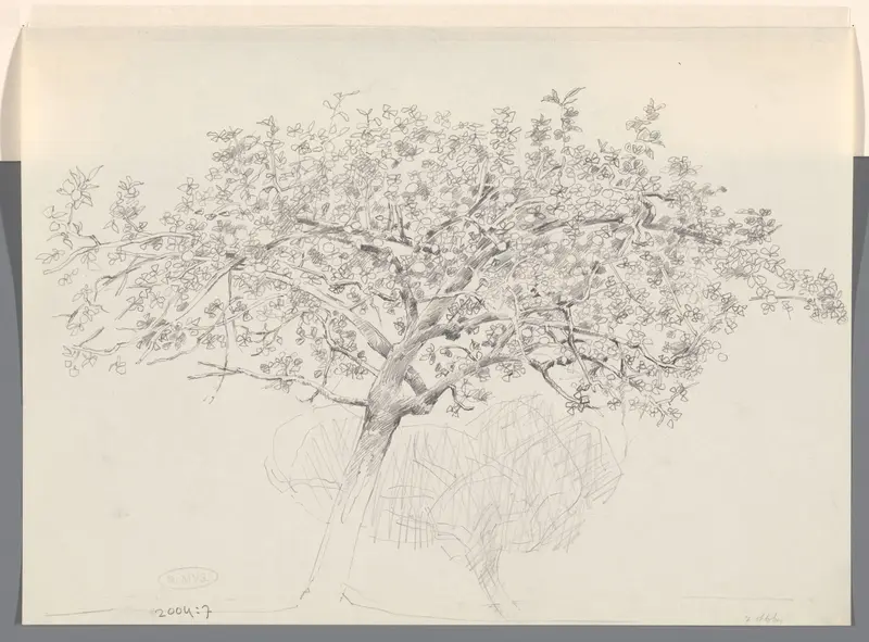 Appelboom Wall Art by Charles Donker - High-Resolution Digital Print