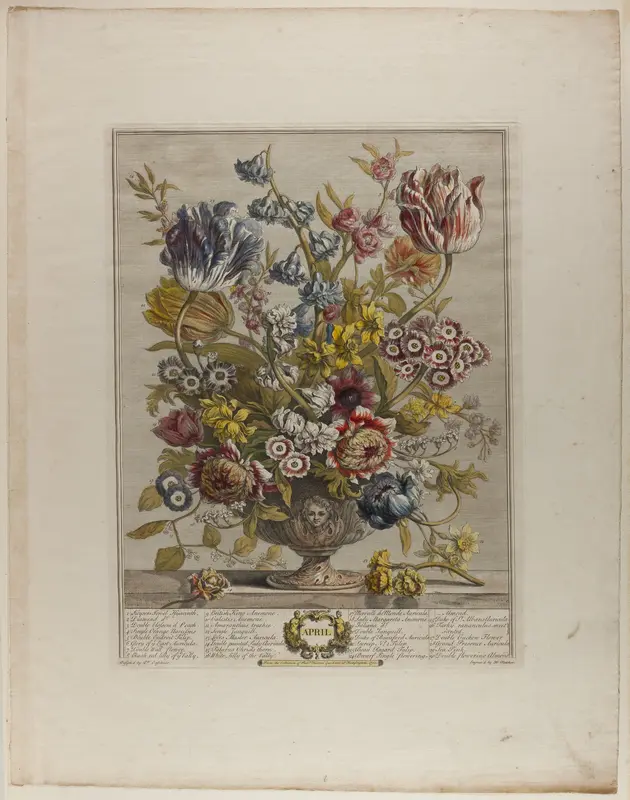 April, from Twelve Months of Flowers