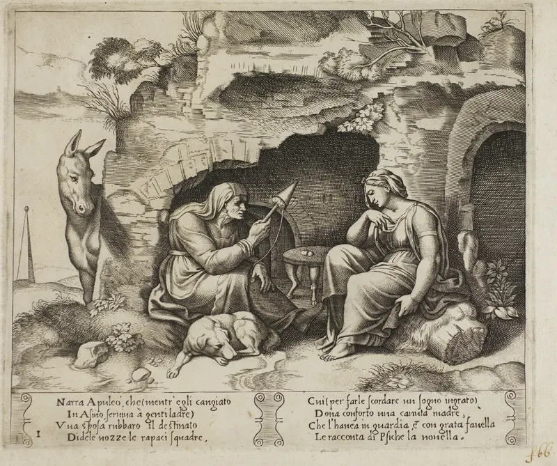 Apuleius Changed into a Donkey