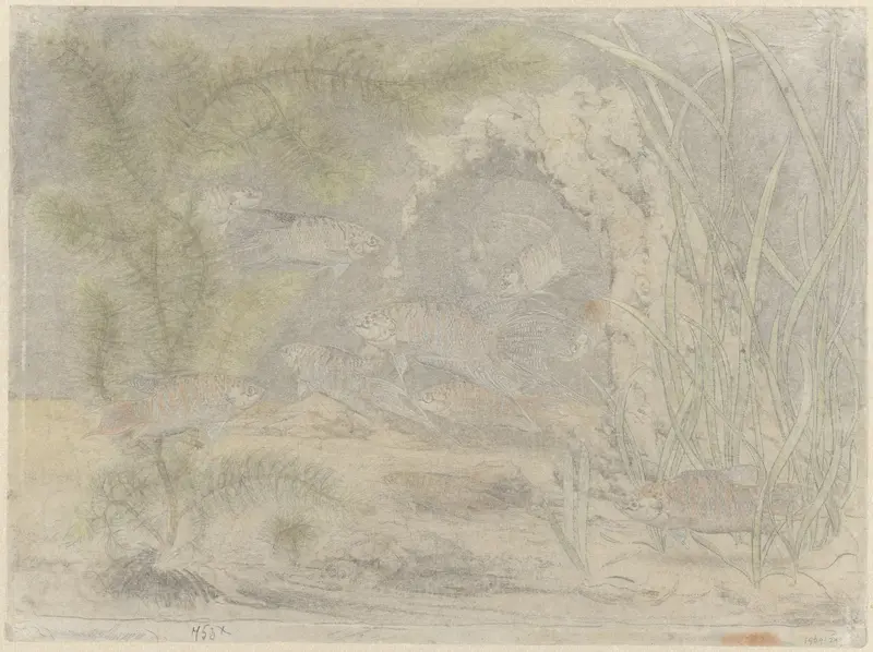 Aquarium met paradijsvissen Wall Art by Gerrit Willem Dijsselhof - High-Resolution Digital Print