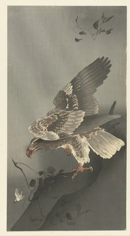 Arend loerend naar prooi Wall Art by Unknown - High-Resolution Digital Print
