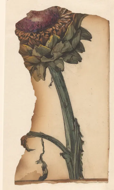 Artisjok (fragment) Wall Art by Julie de Graag - High-Resolution Digital Print