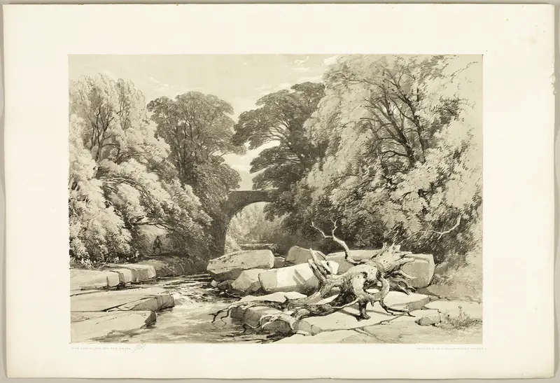 Ash and Alder on the Greta, from The Park and the Forest Wall Art by James Duffield Harding - High-Resolution Digital Print