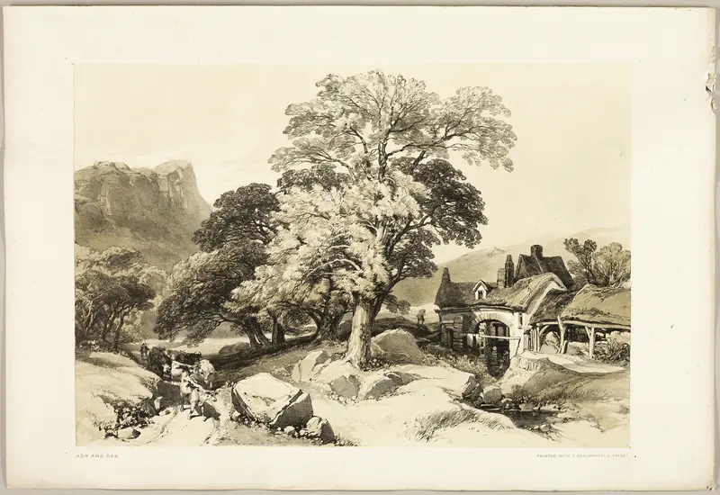 Ash and Oak, from The Park and the Forest Wall Art by James Duffield Harding - High-Resolution Digital Print