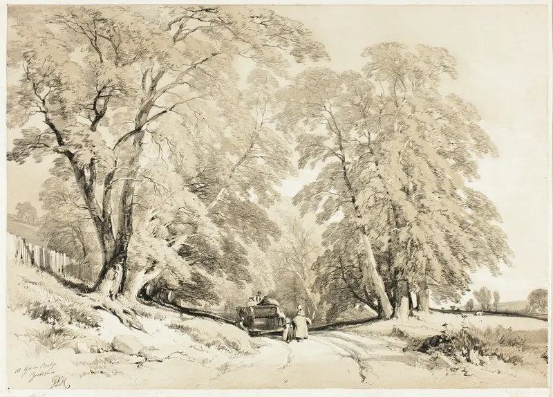 Ash, from The Park and the Forest Wall Art by James Duffield Harding - High-Resolution Digital Print