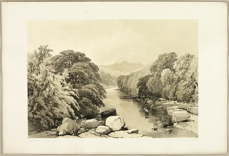 Ash, Sycamore and Oak, from The Park and the Forest Wall Art by James Duffield Harding - High-Resolution Digital Print