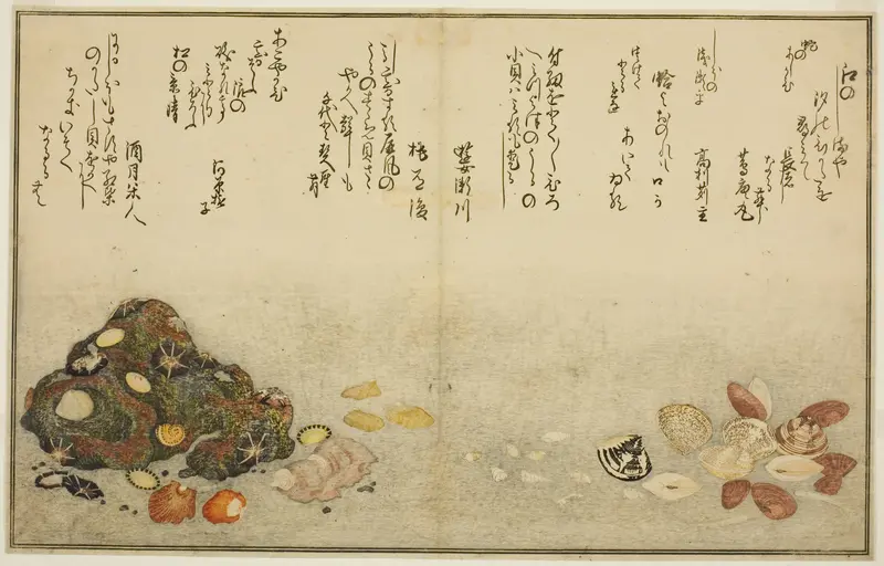 Ashi-gai, hamaguri, ko-gai, suzume-gai, akoya-gai, and katashi-gai, from the illustrated book "Gifts from the Ebb Tide (Shiohi no tsuto)"