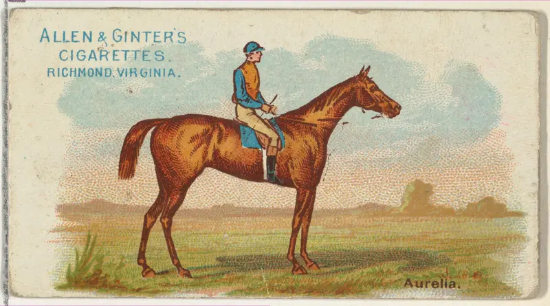 Aurelia, from The World's Racers series (N32) for Allen & Ginter Cigarettes Wall Art by Allen & Ginter - High-Resolution Digital Print