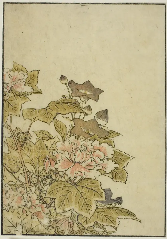 Autumn Flowers: Peonies and Bellflowers, from the book "Mirror of Beautiful Women of the Pleasure Quarters (Seiro bijin awase sugata kagami)," vol. ２