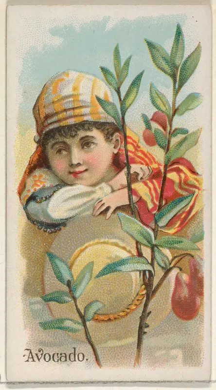 Avocado, from the Fruits series (N12) for Allen & Ginter Cigarettes Brands Wall Art by Allen & Ginter - High-Resolution Digital Print