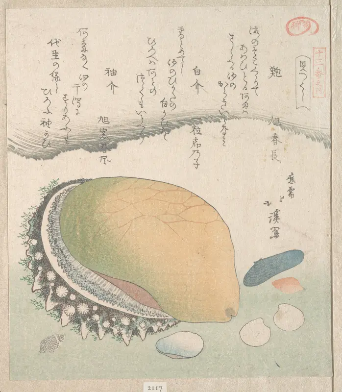Awabi (Ear-Shell) and Various Shells