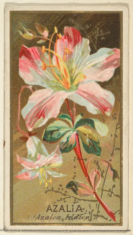 Azalia (Azalea Indica), from the Flowers series for Old Judge Cigarettes Wall Art by Goodwin & Company - High-Resolution Digital Print